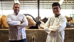 لباس کار مناسب برای مشاغل کشاورزی و دامپروری چیست؟