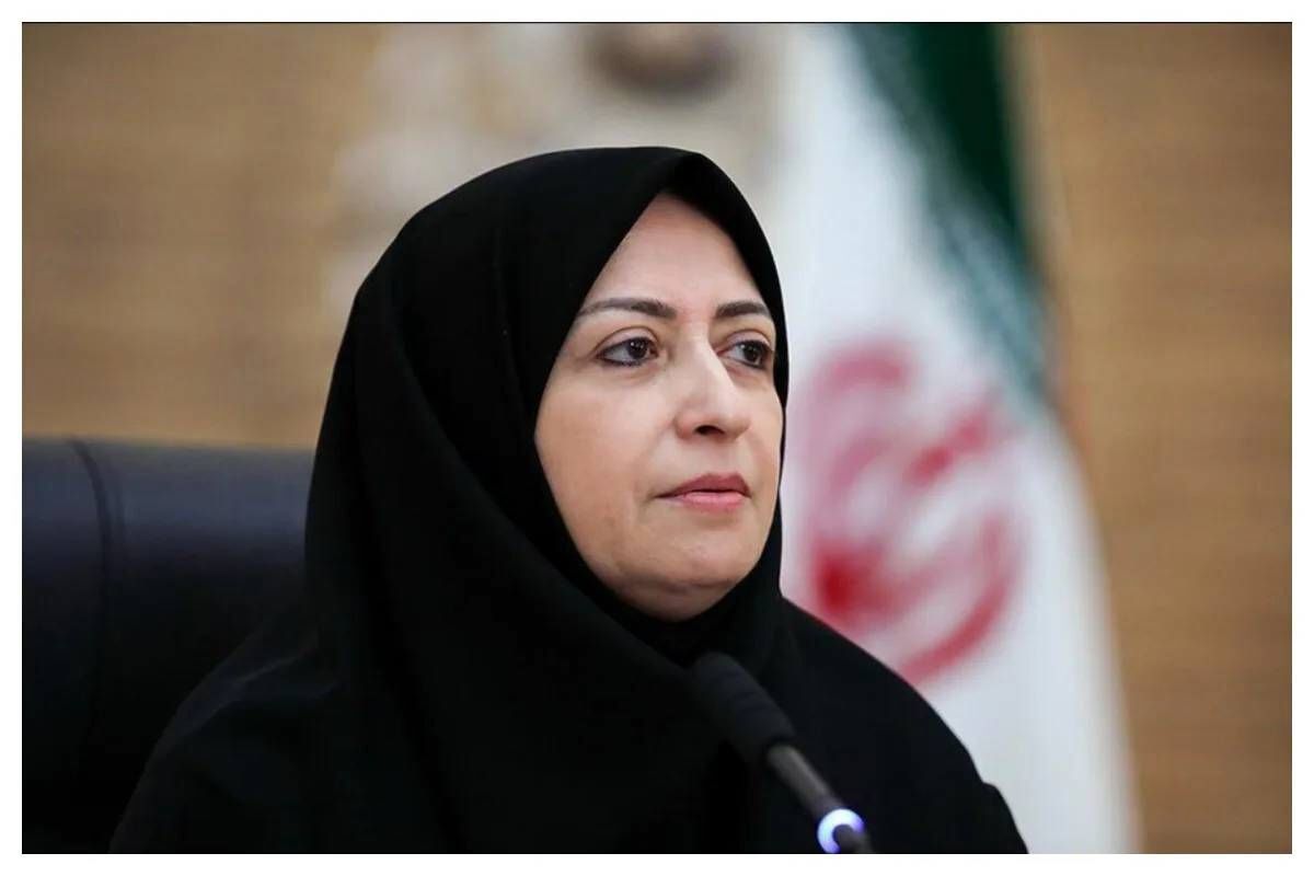 انصاری: بخش زیادی از قوانین زیست محیطی اجرا نشده است