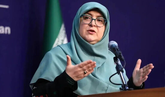 مهاجرانی: منطق ایجاب می کند مذاکره را انتخاب کنیم/ تحت هیچ شرایطی از حق خود کوتاه نخواهیم آمد