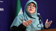 سخنگوی دولت: دسترسی به اینترنت نباید به امتیازی ویژه برای گروهی محدود تبدیل شود
