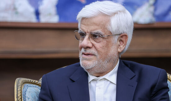 عارف دستور داد: دو معاونت رئیس جمهور مامور بررسی طرح نفوذ شدند