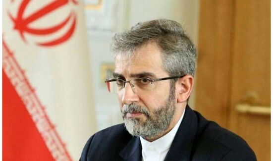 باقری کنی:  باید با تبعیت از رهبر انقلاب پشتیبان این مسیر باشیم