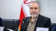 ذوالفقاری: پیشنهاد واردات یا کشت کنترل‌شده خشخاش بررسی خواهد شد