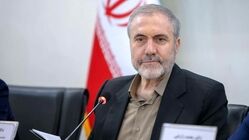 دبیرکل ستاد مبارزه با مواد مخدر: ایران برای تأمین نیاز دارویی خود نیازی به کشت خشخاش ندارد