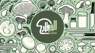 از آموزش تا راه‌ اندازی سالن؛ چرا الو قارچ می‌تواند همراه فعالان صنعت قارچ باشد؟