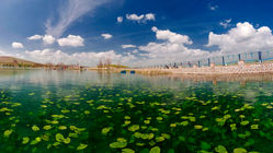 «سراب نیلوفر» کرمانشاه خشک شد