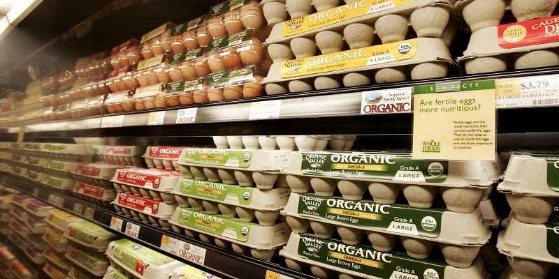 یخچال فروشگاهی مناسب برای فروشگاه‌های لبنیاتی