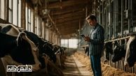مدیریت دامداری در شرایط نوسان نهاده‌ها؛ چگونه سودآوری حفظ می‌شود؟