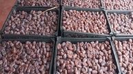 خرما گران شد