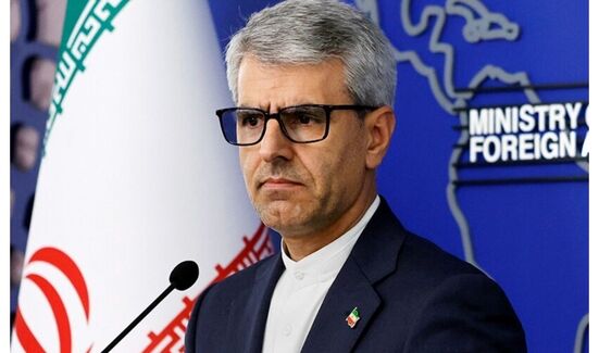 بقائی: اقدامات جمهوری اسلامی ایران در تنگه هرمز کاملاً دفاعی است