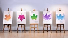 میلیاردها تومان هزینه جشنواره‌ها صرف چه شد؟/ وزارت ارشاد باید پاسخگو باشد