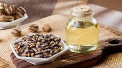 با معجزات روغن کرچک آشنا شوید