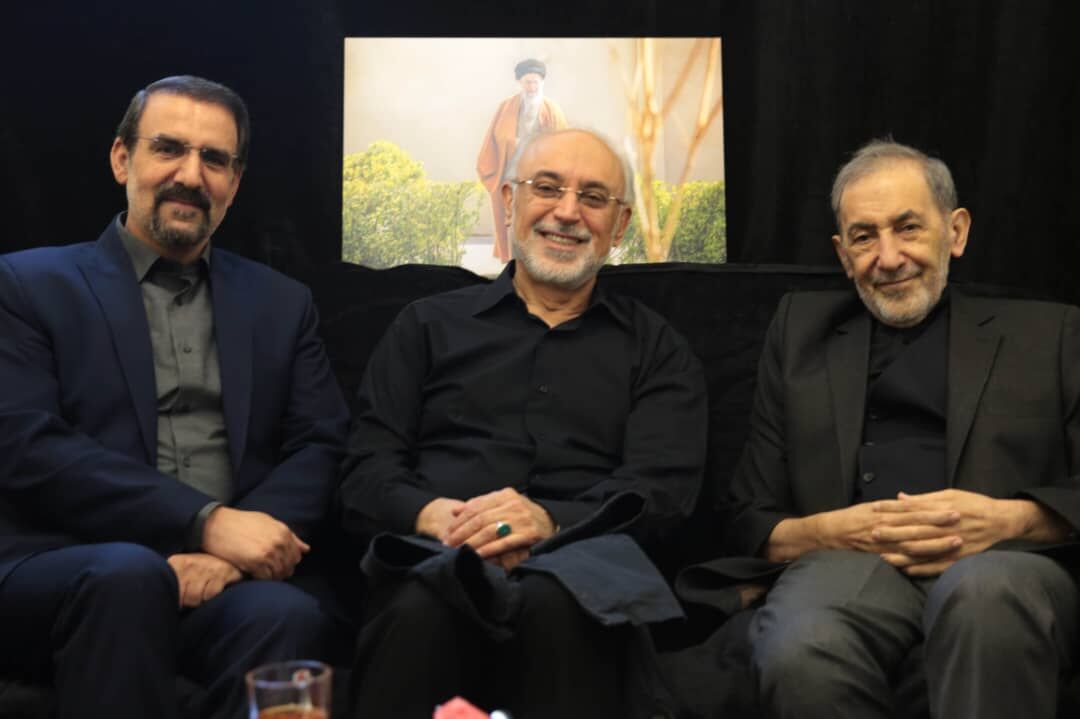 دیدار صالحی، سنایی و تخت‌روانچی با دکتر ولایتی 