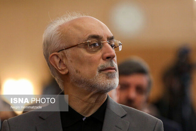 صالحی به ریاست بنیاد ایران شناسی منصوب شد