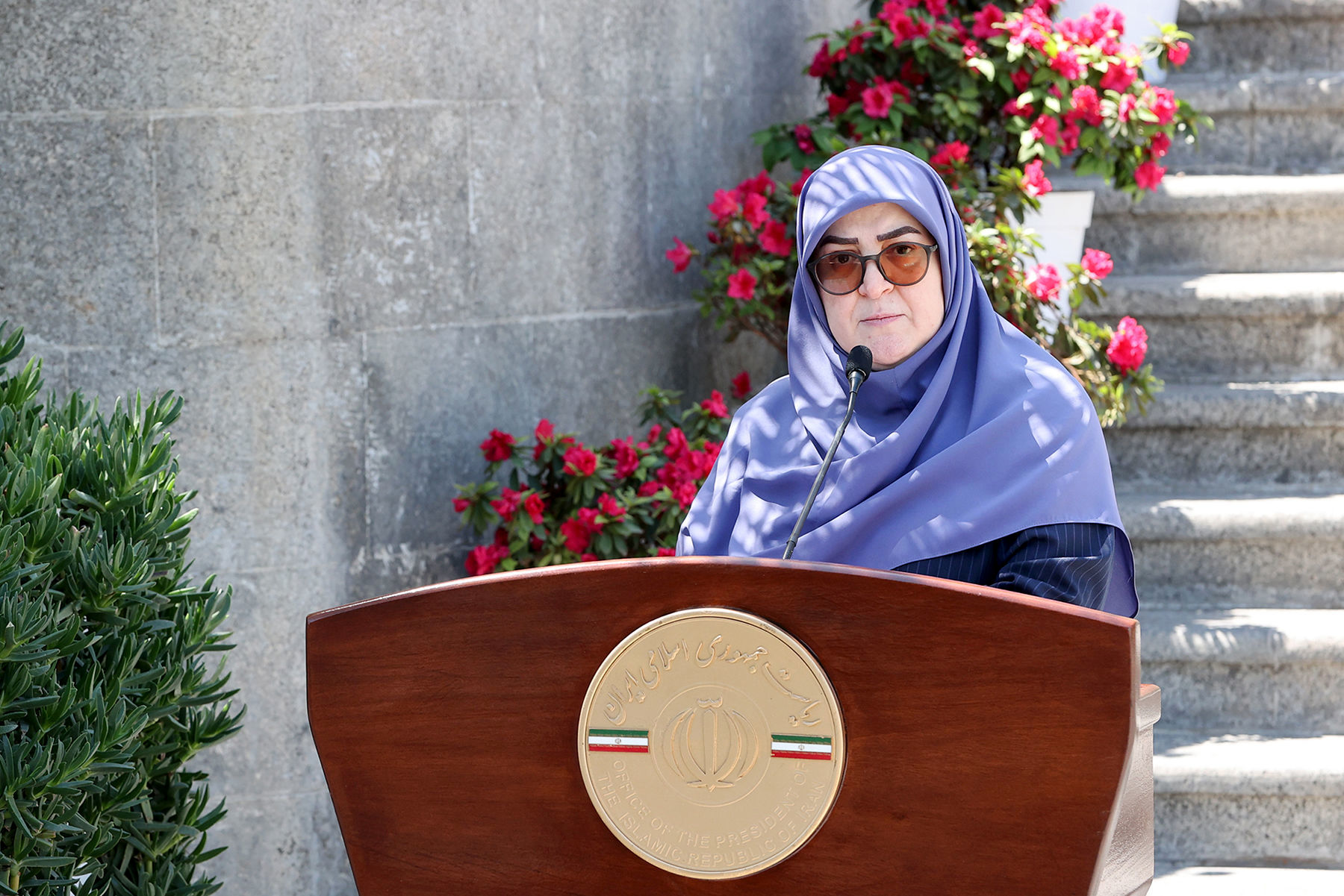 واکنش مهاجرانی به عدم شرکت ایران در اجلاس شرم‌الشیخ: فقط دولت تصمیم‌گیر نیست؛ جمع‌بندی این بود