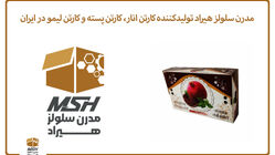 مدرن سلولز هیراد تولیدکننده کارتن انار، کارتن پسته و کارتن لیمو در ایران
