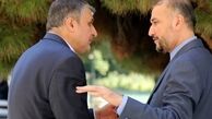 امیرعبداللهیان و اسلامی این هفته میهمان کمیسیون امنیت ملی  خواهند بود