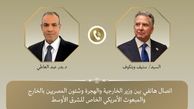 وزیر خارجه مصر با ویتکاف درباره موضوع هسته‌ای ایران رایزنی کردند