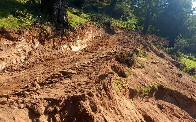 هیرکانی را هم در خطر انداخته‌اند