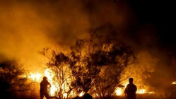 اعتراض به سازمان محیط‌زیست به دلیل بی‌توجهی به آتش‌سوزی جنگل‌های الیت