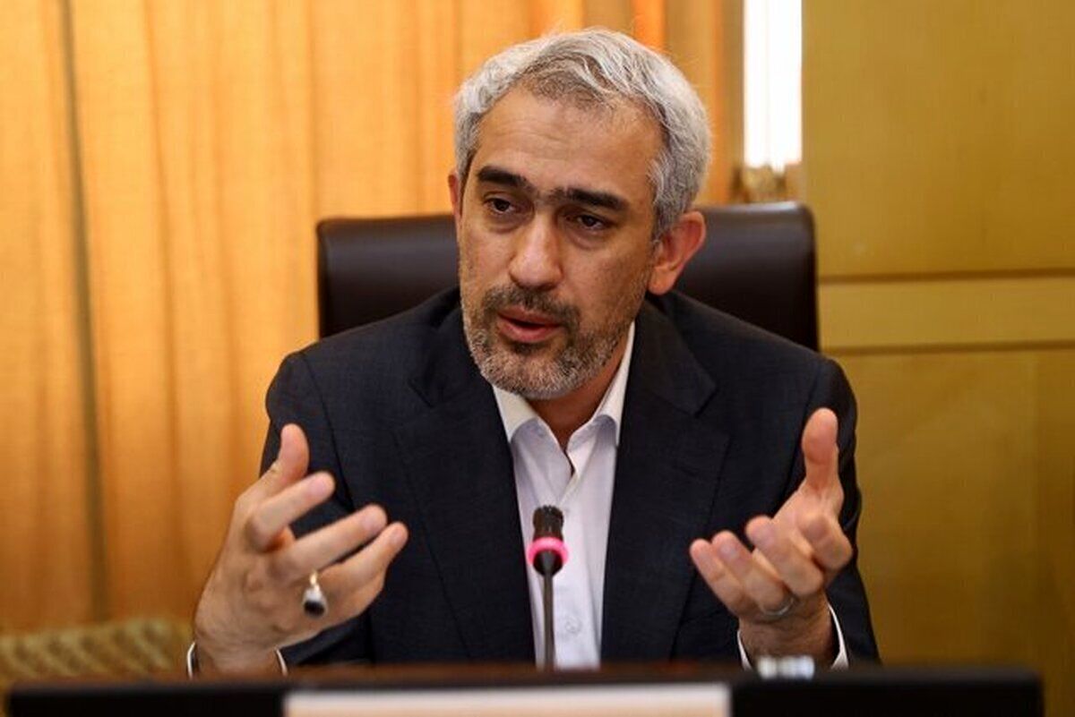 وزیر اقتصاد: خصوصی‌سازی واقعی در کشور انجام نشده است