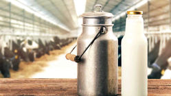 قیمت جدید شیر خام از امروز وارد مرحله اجرا می شود