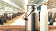 قیمت جدید شیر خام از امروز وارد مرحله اجرا می شود
