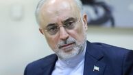 علی اکبر صالحی: آمریکا خواهان جنگ با ایران نیست؛ باهوش‌تر از تصور اسرائیلی‌هاست