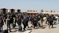یک سوم اتباع در ۱۲ روز از ایران خارج شده‌اند